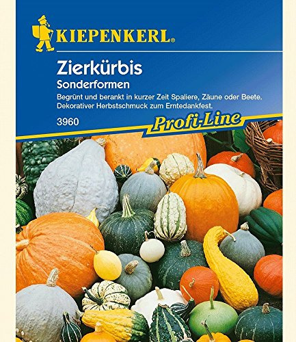 Kiepenkerl Zierkürbis 'Sonderformen',1 Portion