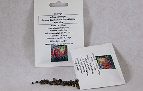 Stauden Lupinen Mischung Russels Hybriden Blumenmischung Saat für ca. 20 Pfl. robuste Gartenstaude