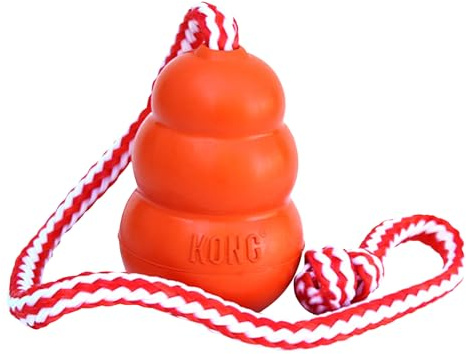 KONG Aqua Apportierspielzeug, Für Mittelgroße Hunde, Orange | Schwimmender Schaumstoffkern zum Apportieren im Wasser, Wurfseil für weite Würfe, Naturkautschuk in Neonfarbe
