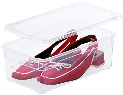 Rotho Clear Scatola con Coperchio, Plastica (PP) senza BPA, Trasparente, 5 L, 33.5 x 19.0 x 11.0 cm