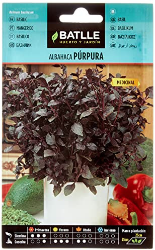 Battle - Semi Aromatici Basilico Viola (Semi - 30Cm)