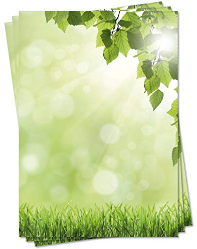 LYSCO Motiv Briefpapier (Sommer-5092, DIN A4, 25 Blatt) Briefpapier grüne Wiese mit kräftig frischem Laub einer Birke im Vordergrund