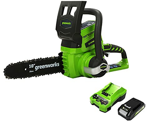 Greenworks Tools Tronçonneuse à batterie G24CS25K2 (Li-Ion 24 V 25 cm longueur de sabre 50 ml volume du réservoir d'huile incluant une batterie de 2Ah et un chargeur) 2000007UA Vert