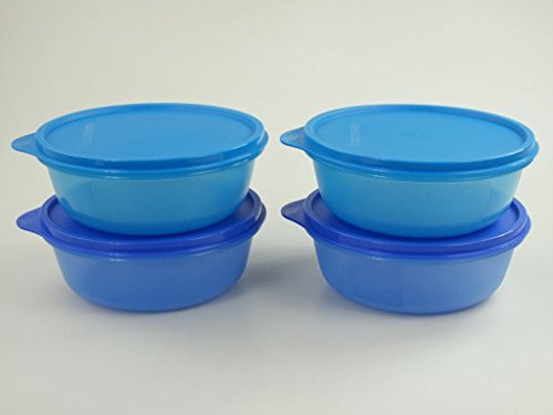 TUPPERWARE Kühlschrank Hit-Parade 600ml dunkelblau(2)+blau(2) Hitparade Panorama