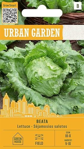 Organic Way | Lattuga - BEATA Sementi per orto | Lattuga Iceberg medio-precoce | Capi grandi fino 500 g | Per pieno campo e tunnel | Croccante fresca produttiva | 1 bustina