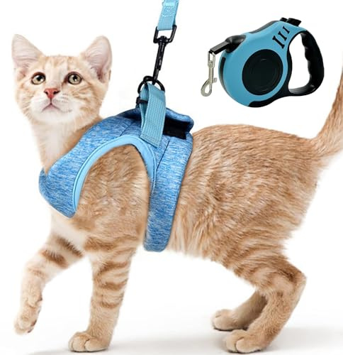 XFSRG Katzengeschirr mit Leine Ausbruchsicher Atmungsaktives und Weiches Geschirr Katzen Verstellbare Passform Komfort Perfekt für Spaziergänge Reisen (Himmelblau, M)