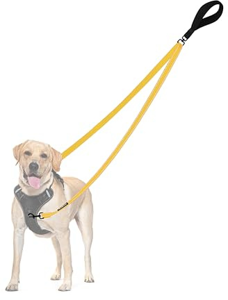 PetBonus Laisse Anti-Traction pour Chien, Double Laisse Anti-Traction réfléchissant, pour l'entraînement et la Marche, pour Chiens de Grande Taille et Moyenne (Jaune)