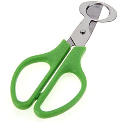 2Pcs Quail Egg Scissors,Eggshell Cutter Stainless Steel Egg Scissors Egg Cutter for Home, Kitchen, Restaurant (Green)