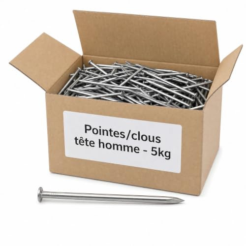 Pointes/clous tête homme - 5kg - 2,2x40