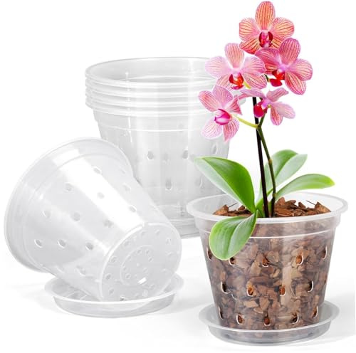 5 Macetas de Orquídeas de Plástico Transparente con Agujeros y Platillos, Macetas Transparentes para Trasplantar, Excelente Drenaje y Ventilación para Orquídeas Interiores/Exteriores, Suculentas 100