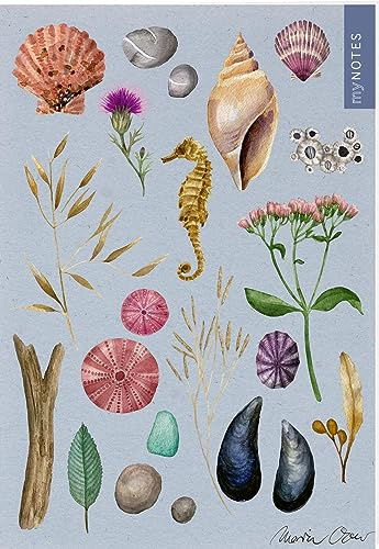 myNOTES Papeterie: Notizheft Naturschätze: Muscheln & Meer | Heft liniert A5, maritimes Design, für Notizen und gute Ideen unterwegs (myNotes Notizheft)