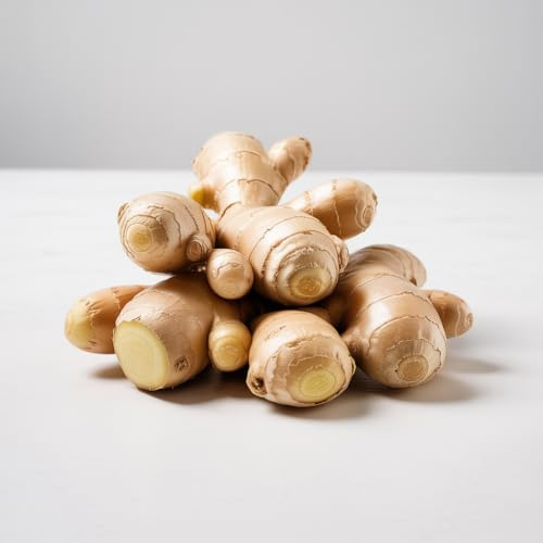 IFLO® Ingwer Rhizome zum Pflanzen – Zingiber Officinale – Gewürzpflanze für Topf & Balkon (5)