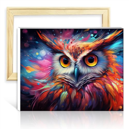 TANGFEIY Malsets auf Leinwand, geheimnisvolle kosmische Eule, Farben für Kinder, Acryl-/Ölgemälde, Malen mit Pinseln, Haus-Art-Deco-Basteln, ohne Rahmen (40 x 50 cm)