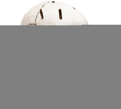 Bloc de couteaux crâne, support de couteaux crâne pour la cuisine | Bloc de effrayants d’Halloween - Support de rangement de de cuisine, décor de squelette d'horreur, support de rang