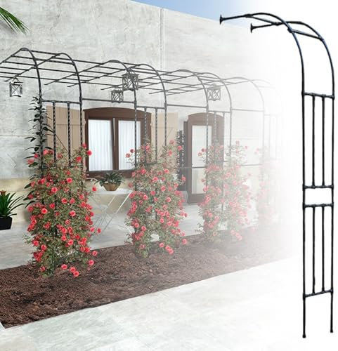 Arche De Jardin en Métal Treillis Plante Grimpante Exterieur, Tonnelle De Demi-Arc, Arceau À Rosiers De Demi-latérale 60x240cm 120x240cm 240x240cm(Noir,Width:250cm)