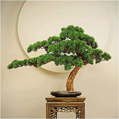 GLETSF Artificial Bonsai Pine Tree 21 Inch Artificial Potted Plant Bedroom Cedar Bonsai Plant Restaurant Artificial Plant Decoration