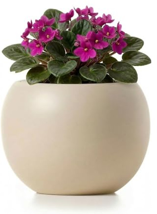 Punklong Maceta de cerámica con autorriego de 6.8 pulgadas, maceta violeta africana para plantas pequeñas, maceta redonda de autorriego con almacenamiento de agua, maceta decorativa para plantas de
