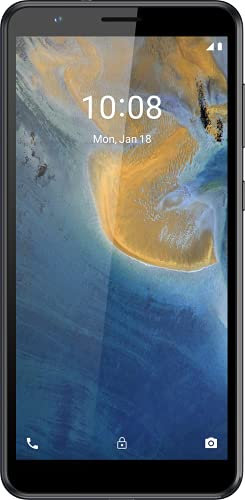 ZTE Smartphone Blade A31 (13.84 cm (5.45 inch) HD+ display, 4G LTE, 2GB RAM and 32GB internal memory, 8MP main camera and 2MP front camera, dual SIM, Android 11 GO) grey, 126595201057