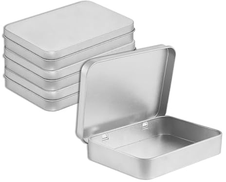 TONGIHS 4 Stück Mattierter Aufbewahrungsbox,für Verstauen Tee,Schmuck,Silber