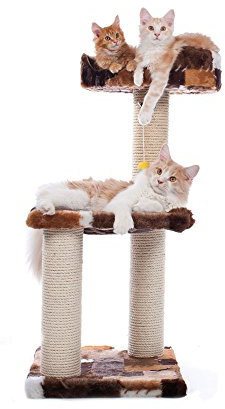 CLEVERCAT Kratzbaum Johanna, klein Aber fein. Passt in Jede Wohnung und bietet Ihrem Liebling eine Kratzmöglichkeit Made in Germany