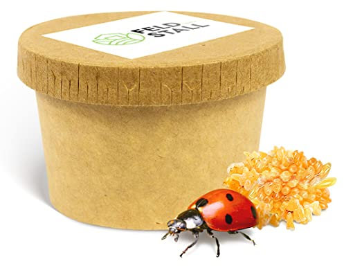 FeldundStall Siebenpunkt-Marienkäfer Eier/Larven (100-150)- Natürliche Schädlingsbekämpfung der Blattläuse für Garten, Kleingewächshäuser, Wintergarten, Büro - Coccinella septempunctata