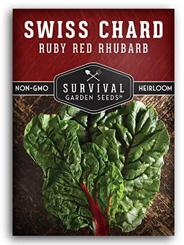 Ruby Red Rhubarb Swiss Chard Seeds for Planting – Heirloom Red Chard – Cool or Warm Weather Crop for Indoors & Outdoor Home Gardens – Non-GMO Vegetable – Survival Garden Seeds (1 Pack)