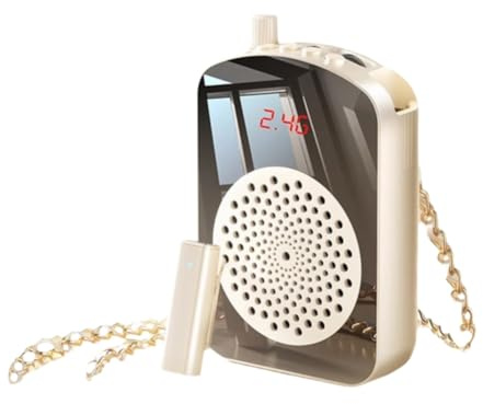 Ujjdwiurgh Micrófono de solapa inalámbrico con amplificador de voz para aula/yoga/micrófono de grabación de conferencias