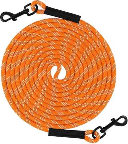 Taglory Training Lead for Dogs 15 m, Reflective Long Rope Tie Out, for Small Medium Large Dogs, Orange