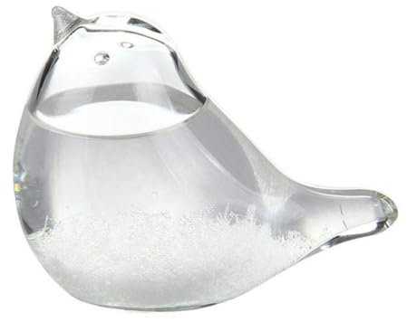 Tormenta de vidrio Meteorológica Forma de aves Pájaro Estación de predicción de la estación Líquidos Barómetro Decoración del hogar Regalo