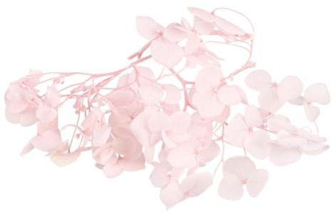 DOITOOL Pétalos de Flores Secas de Hortensia Rosa para Decoración Elegante, Kit de Flores Preservadas Naturales para Nail Art y Manualidades DIY
