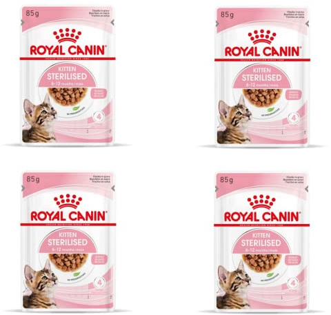 Royal Canin Kitten Sterilised Gravy | Confezione da 4 | 4 x 12 x 85 g | Cibo Umido per Gattini sterilizzati in Crescita | dai 6 ai 12 Mesi | Consistenza Morbida per i Denti da Latte