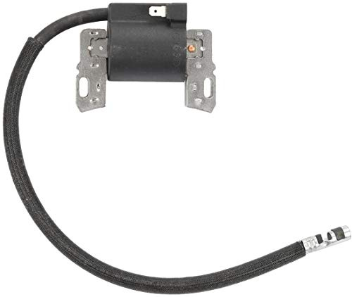 TOOWGM Magnetischer Anker der elektronischen Zündspule für Briggs & Stratton Anker OEM 492341 490586 491312 495859 715231