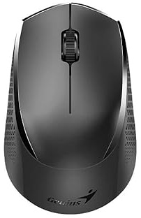 Genius Ratón inalámbrico NX-8000S BT Duo (BT 5,3 + 2,4 GHz), Blanco/Gris