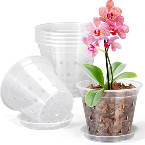 Muzrunq 5 macetas de orquídeas de plástico Transparente con Agujeros, diseño de Drenaje y ventilación para orquídeas, suculentas y Plantas de Interior de Interior/Exterior (80 mm) Macetas para