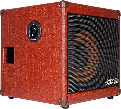 DV Mark AC 101 H - Combo acustico, 1 x 10, 250 W