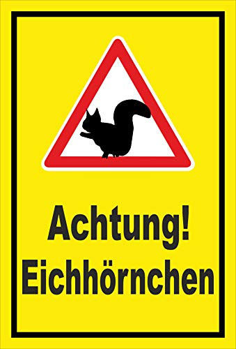 Melis-Folienwerkstatt Schild Achtung Eichhörnchen - 30x20cm - Bohrlöcher - 3mm Aluverbund – 20 VAR S00359-161-C