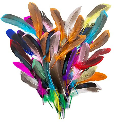 laeeyin Lot de 50 plumes colorées pour bricolage, décoration de boucles d'oreilles, mariage, attrape-rêves, plumes de coiffure, artisanat scolaire