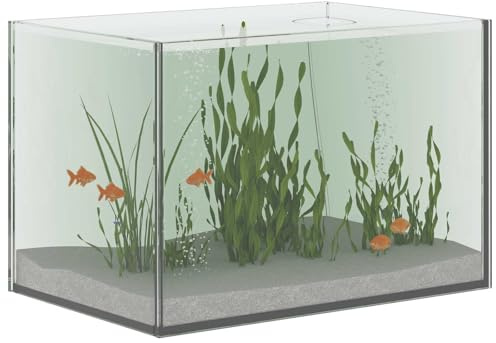 vidaXL Aquarium avec Stockage Transparent 30 x 20 x 20 cm Verre