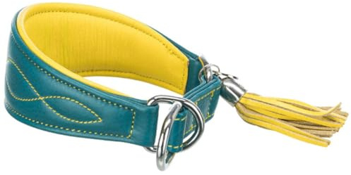 TRIXIE Active Komfort Windhunde Halsband Größe XS-S: Halsumfang 24-31 cm/50 mm in Petrol - extra breites Hundehalsband für kleine Hunde, schützt den Kehlbereich, unterfüttert, 18966