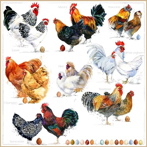 ti-flair 20 Servietten Verschiedene Arten von Hühner | Tiere | Bauernhof | Ostern | Tischdeko | Decoupage | Serviettentechnik 33x33cm