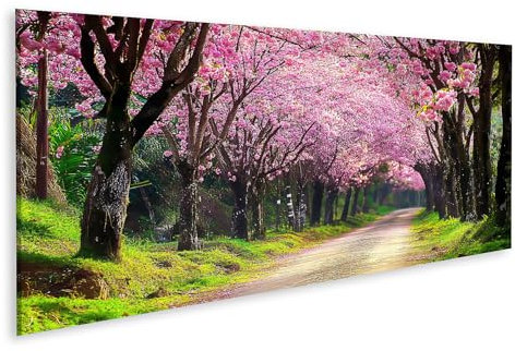 islandburner Prime Bild auf Leinwand Blühende Kirschbäume auf dem Landweg für Schlafzimmer Naturliebhaber Wellness-Spa Bilder Wandbilder Poster