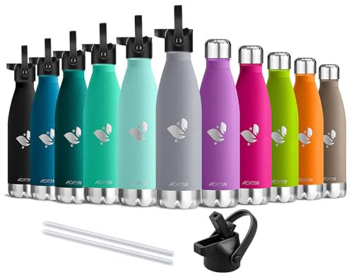 AORIN Doppia Bottiglia per Vuoto in Acciaio Inossidabile, processo di verniciatura a Polvere, Resistente ai Graffi, Facile da Pulire (500ml, Grigio)
