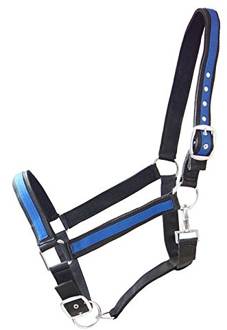 German Riding Kaltbluthalfter Big Boy schwarz-royalblau