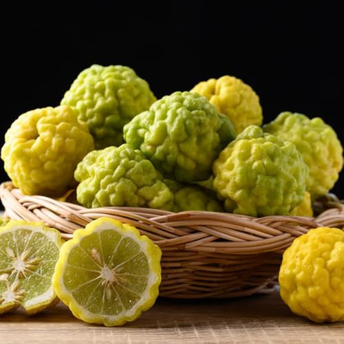 Semi di tiglio, Citrus hystrix, tiglio, Gli da nani sono resistenti balcone dei semi di per il giardino 200pcs