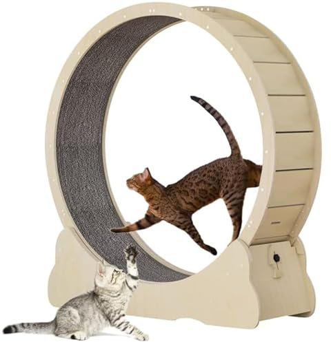 Cashwise Katzenrad-Katzen-Übungsrad für Innenkatze, No-Lack-Design-Katzenlaufrad mit Teppichsteg und Verriegelungsvorrichtung, Katzen-Laufbandrad für die längere Lebensdauer der Katze,S