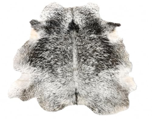 Natural Cowhide Rug, Brown and White Tricolor Pattern, 100% Australian Cow Fur Skin Area Carpet (Medium (16-20 sq ft))