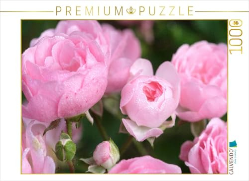 Puzzle · Rose 'The Fairy | Rosenblüten mit Morgentau bedeckt · 1000 Teile · Lege-Größe 64 × 48 cm · CALVENDO Puzzle