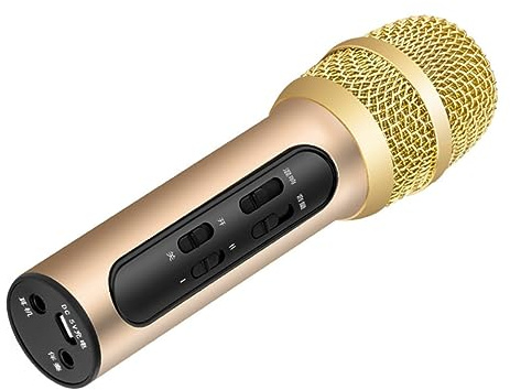 TOYANDONA Microfono Portatile Professionale da Canto Karaoke | 400 Mah, Oro, Lega di Alluminio e Plastico, Funzione Accompagnamento Esterno, Modalità Eco