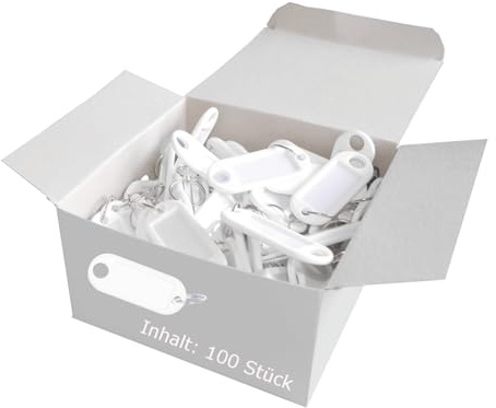 Wedo 262811800 Lot de 100 Porte-Clés avec Anneau Blanc