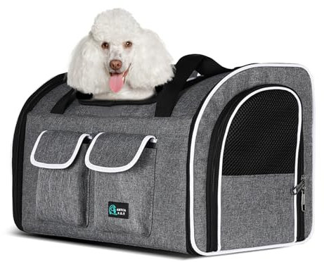 PETCUTE Katzenrucksack Hunderucksack für Katzen und Kleine Hunde,Atmungsaktiv Haustier Rucksack Katzentransportbox mit Herausnehmbarer Matte,Faltbar Katzentasche,Multifunktionales Transportbox Hund